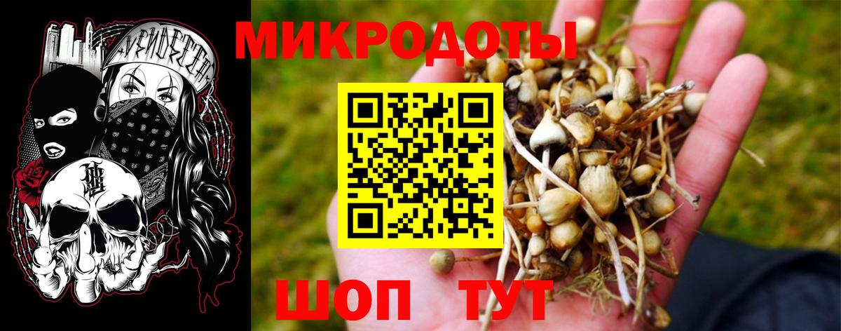 Галлюциногенные грибы мицелий  Вход с VPN  Северобайкальск 